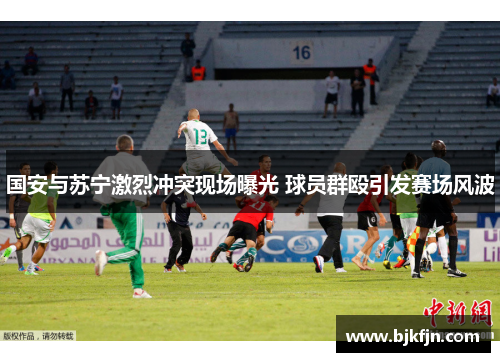 国安与苏宁激烈冲突现场曝光 球员群殴引发赛场风波